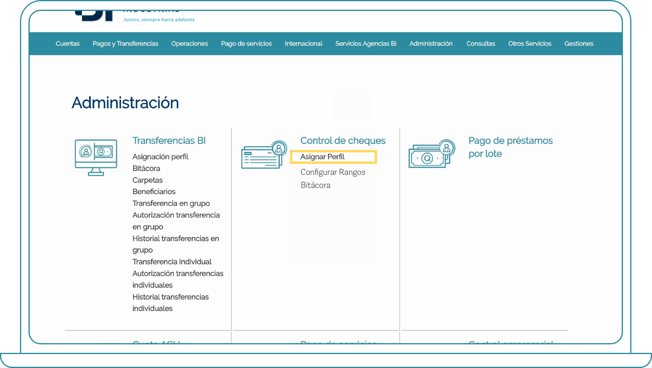 como asignar perfiles en bi banking 2