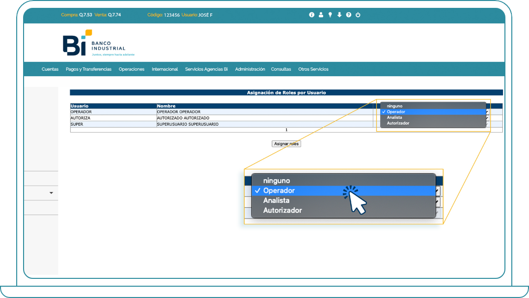 Asignar perfiles en Bi Banking