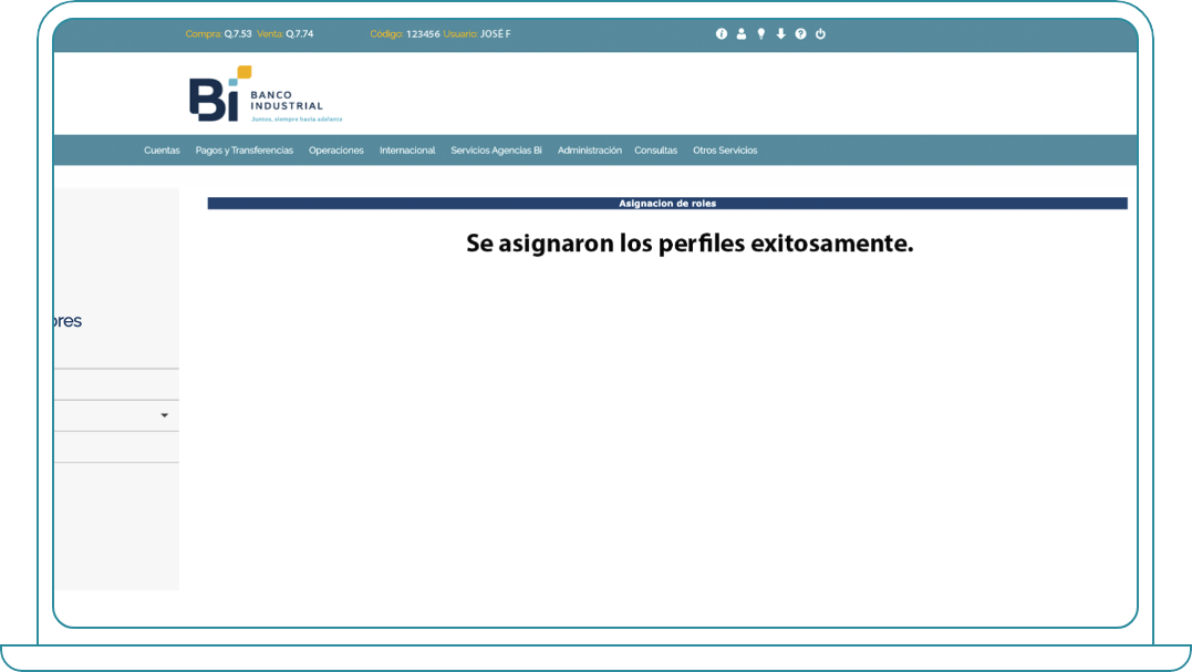 Asignar perfiles en Bi Banking