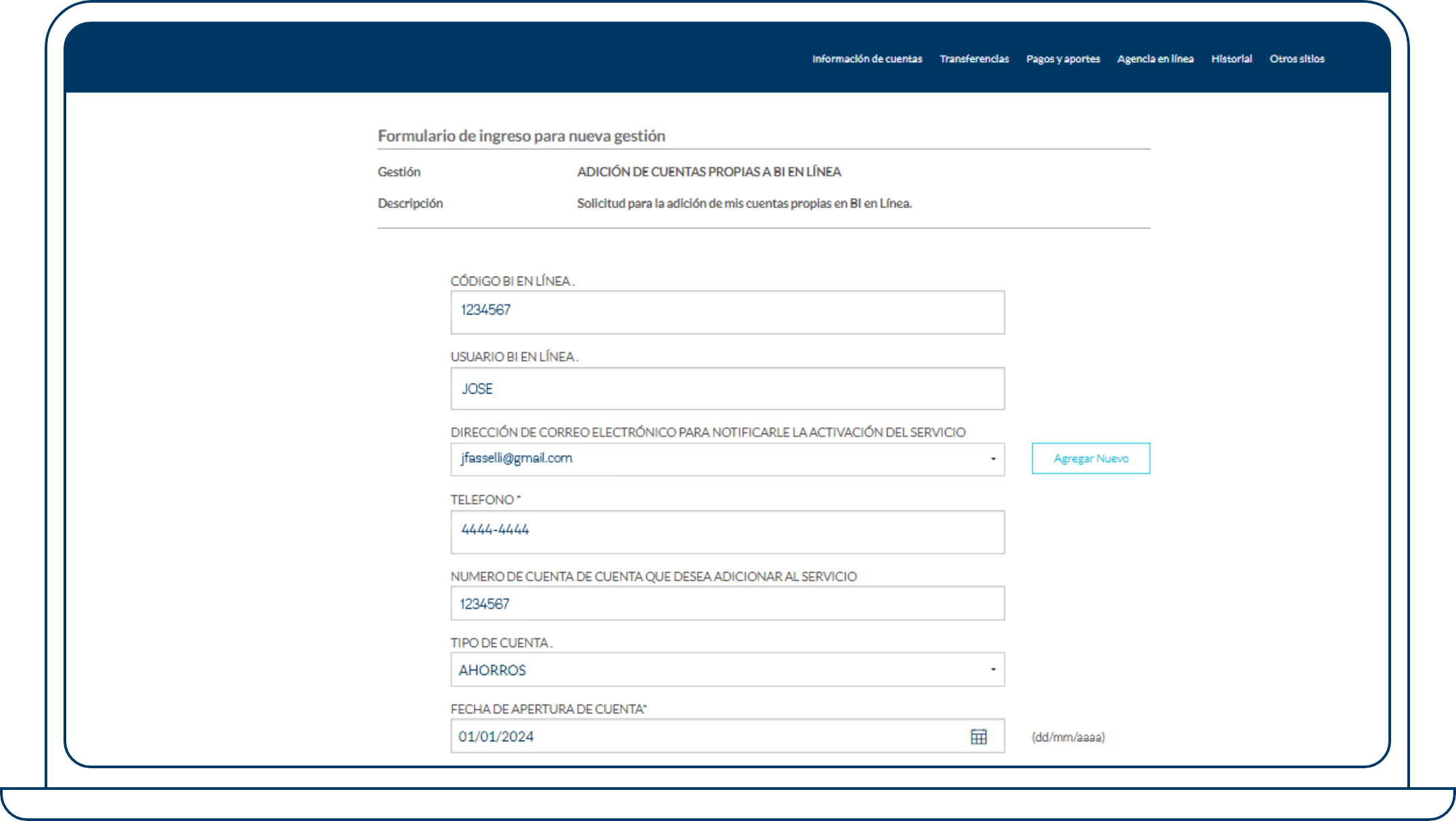 Paso 4: Completa los datos que se solicitan.