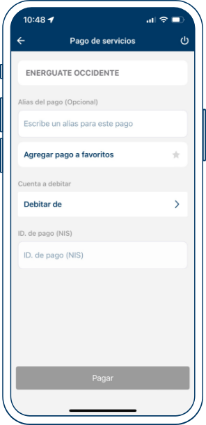 realiza-pago-energuante-bel-app-paso4