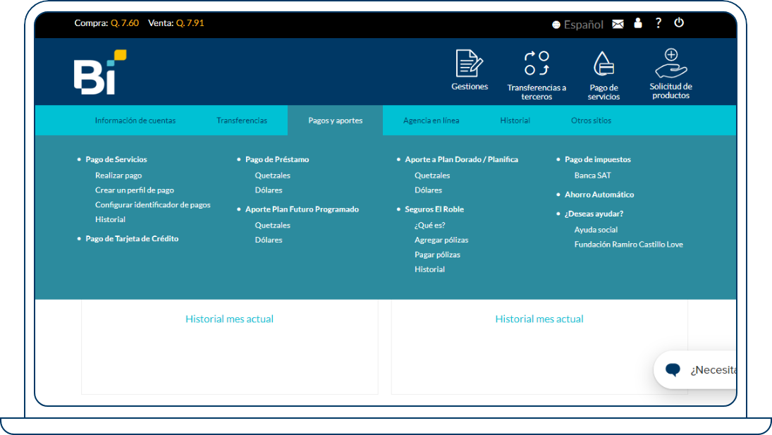 realiza-pago-energuante-bel-web-paso2