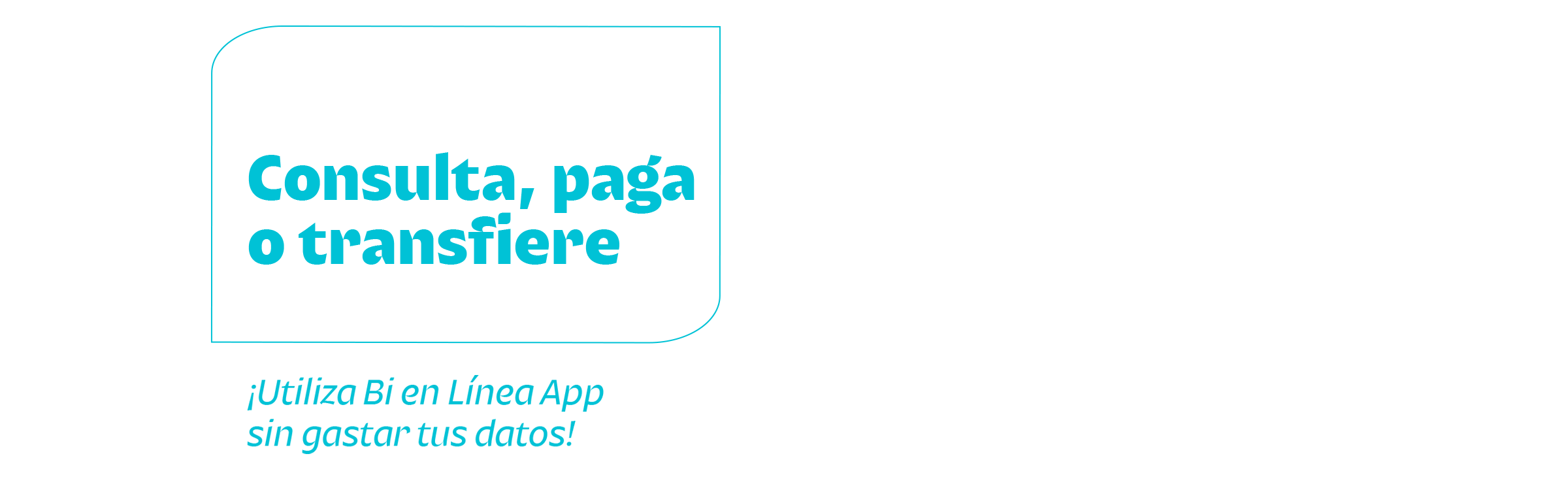 Consulta, paga o transfiere