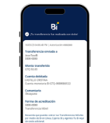 Paso a Paso Transferencias Móviles