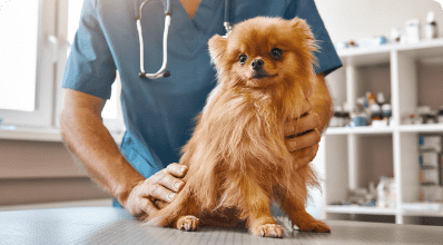 Fotografía de Donde Mimi