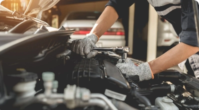 Fotografía de Chapinmex