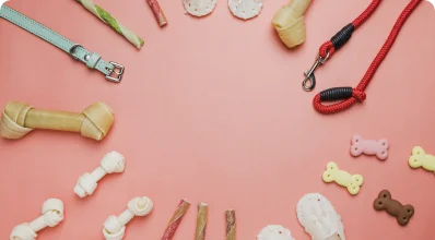 Fotografía de Tudo Mascott