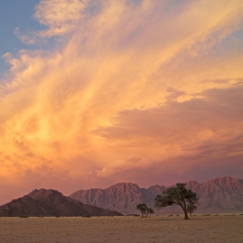 africa-visa africa-visa