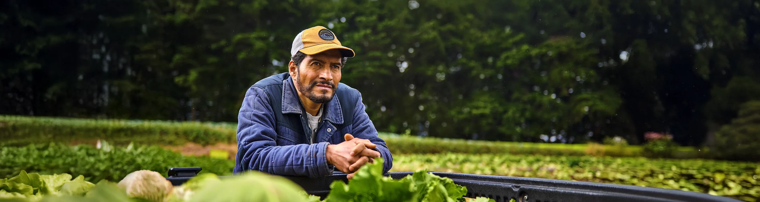 banner-a-guate-le-haces-bien-agricultor