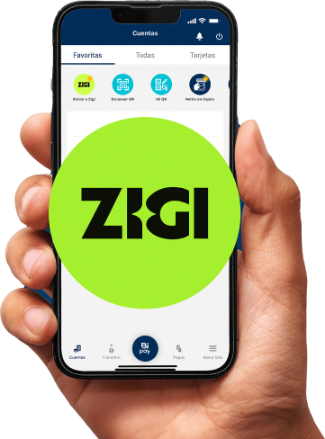 Montaje-Bi-en-Linea-Zigi 1