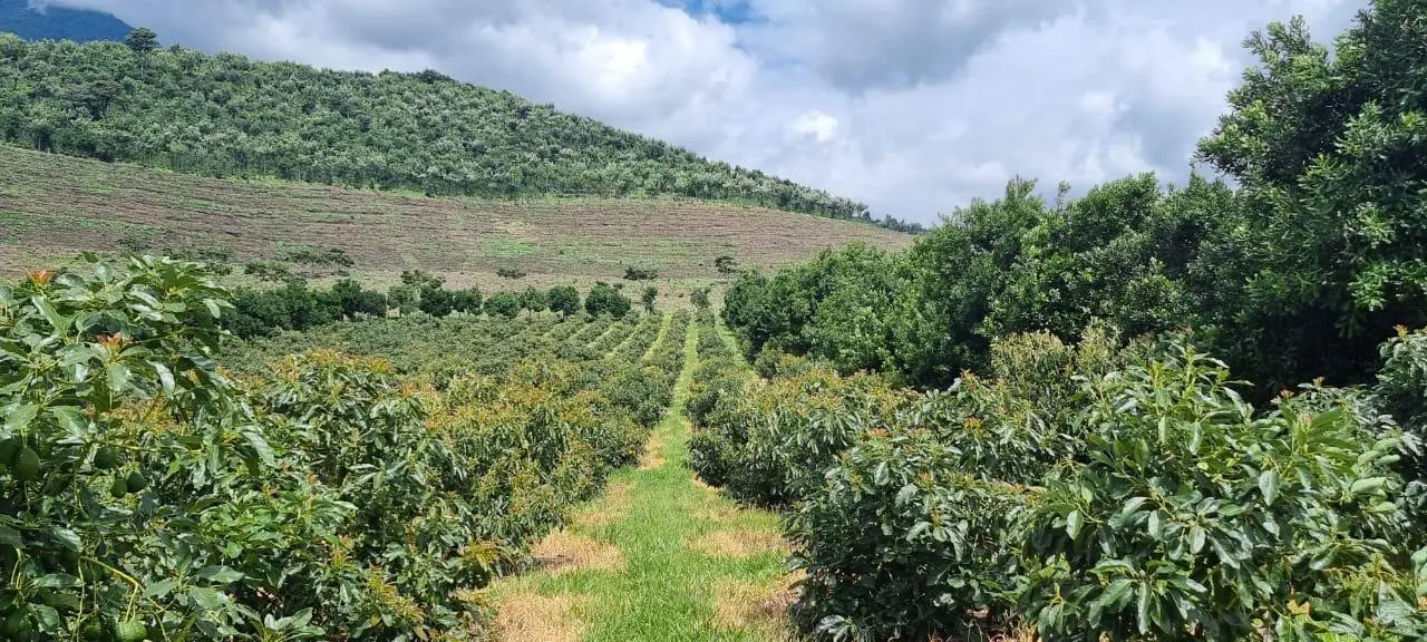 Daily_News 5_2_2025_Noticia _1 Daily_News-5_2_2025_Noticia-_1