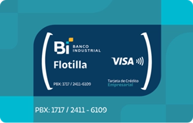 Tarjeta-Combustible-Visa