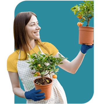 banner-credito-individual-empresarial