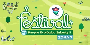 Festival en el parque