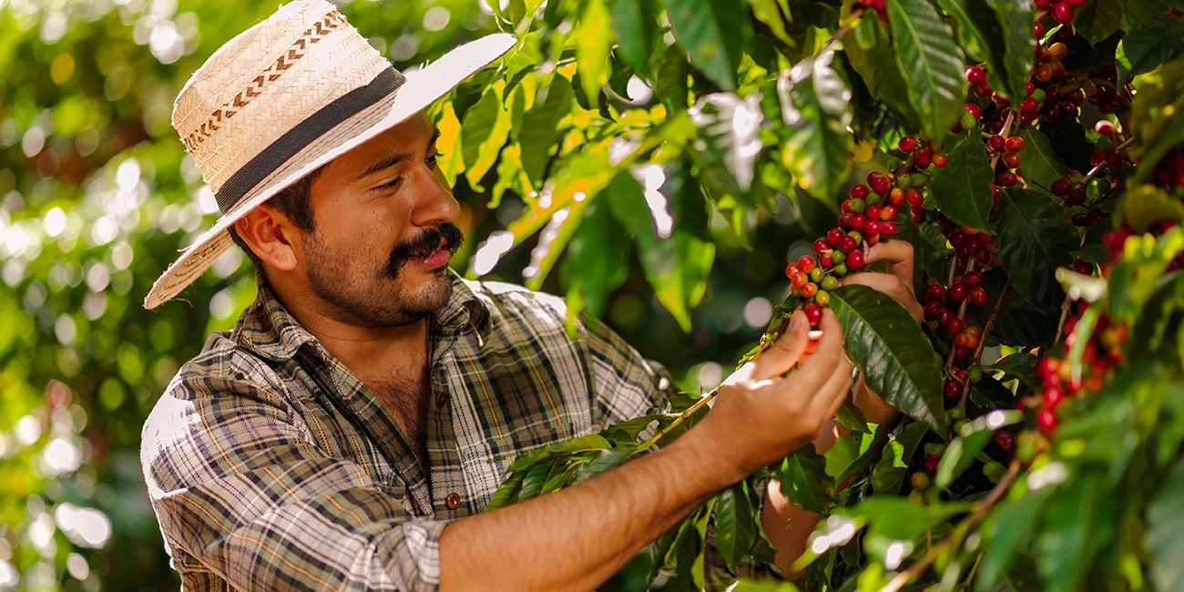 Credito-Agricola Crédito agrícola