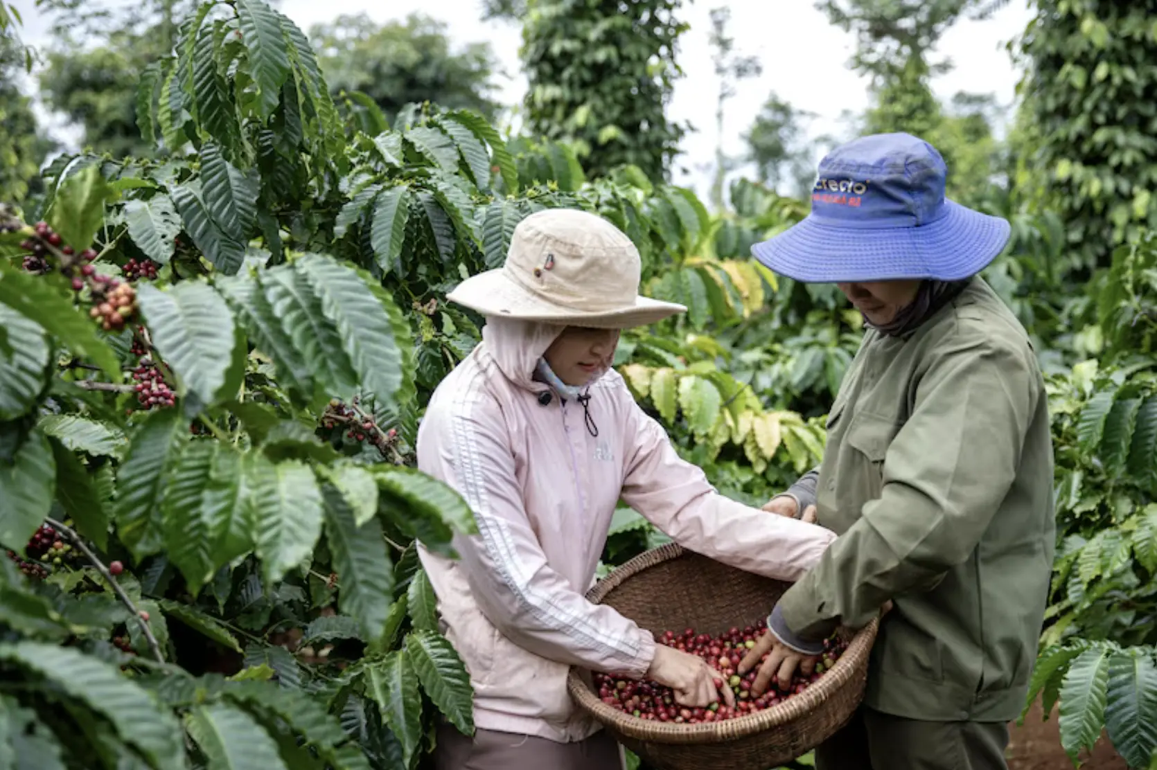 Daily news 25 de abril internacional_3