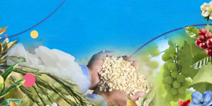 MAGA ha autorizado más de 2,200 permisos para importar productos agrícolas en lo que va del año