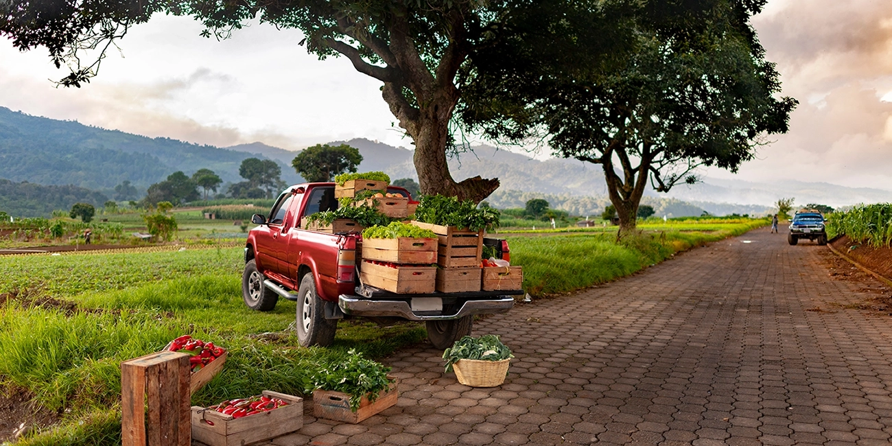 Vehiculos-de-Trabajo Vehículos de trabajo