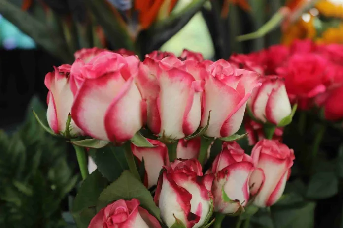 flores-dia-de-la-madre-2