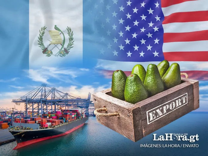 ¿Cómo será el envío de a EE.UU. de los primeros aguacates Hass de Guatemala con el arancel del 10%?