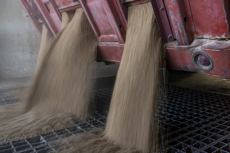 Indonesia aumentará compras de trigo a EE.UU. en busca de un acuerdo comercial