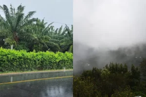 MAGA-monitoreo-lluvias