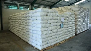 dayli news nacionales 10.07_3