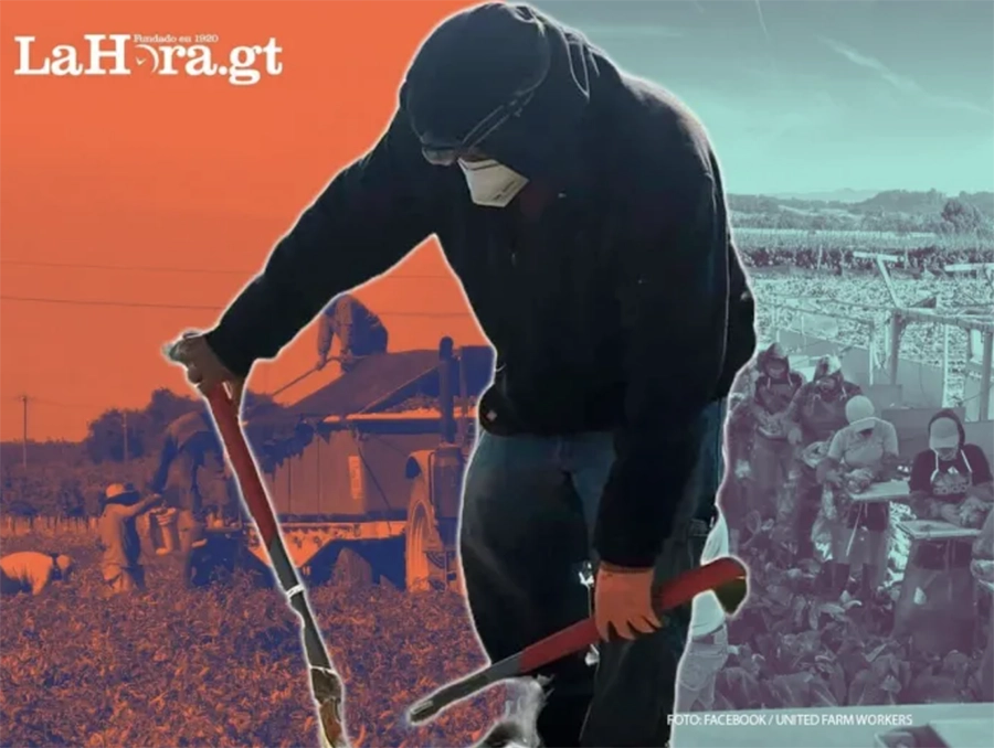 informe-dn-corporacion