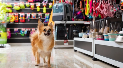 Fotografía de Pet Shop D'Pelitos