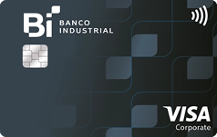 visa corporate imagen banca institucional