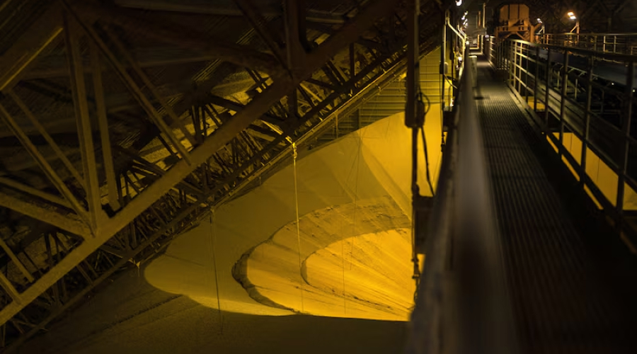 China acelera compras de soja argentina tras baja de retenciones de Milei