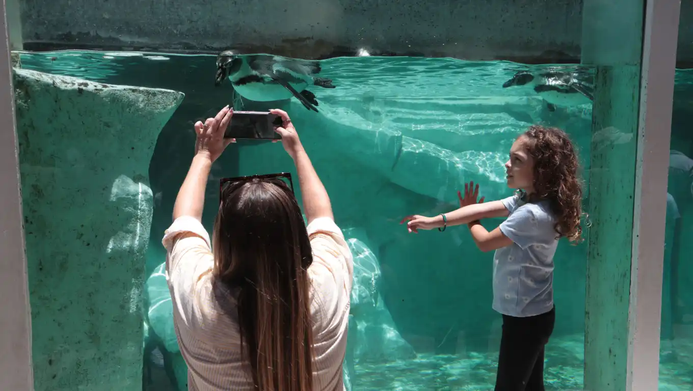 NAC-260825-EG-ZOOLOGICO033_96197435