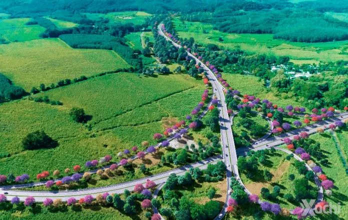 Xochi, la carretera privada Xochi, la carretera privada