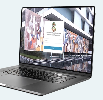 Vista ilustrativa del paso seleccionado