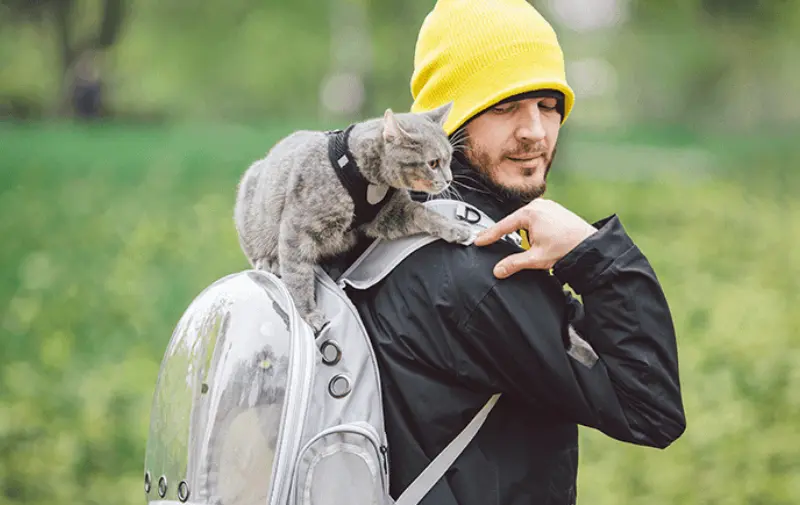 Bendición de mascotas 2025: bonitos regalos que le puedes dar a tu consentido