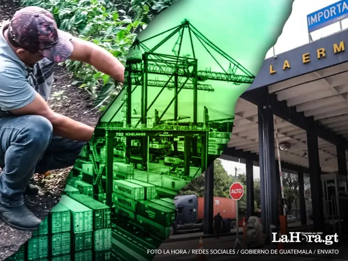 Guatemala exportará 66 productos agrícolas sin arancel a EE. UU. Guatemala exportará 66 productos agrícolas sin arancel a EE. UU.