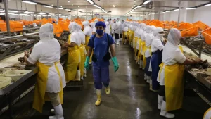 Daily News Nacionales 17/12