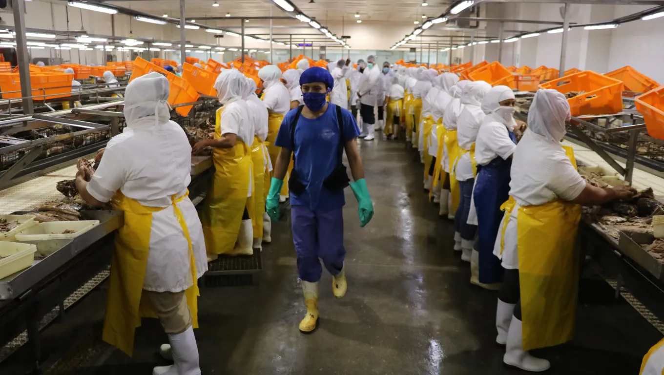 DN1N17.12 Daily News Nacionales 17/12