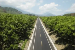 Daily News Nacionales 16 de diciembre 2025