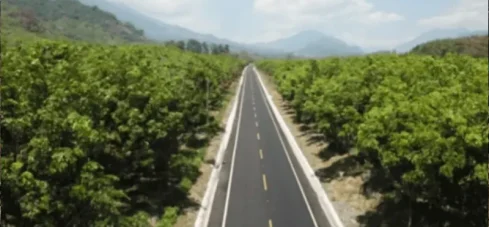 Nacionales-16-12 Daily News Nacionales 16 de diciembre 2025