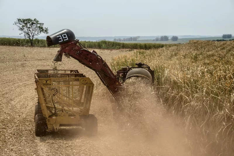 azucar-repunta-por-segundo-dia