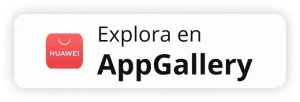 optimizacion-app-gallery