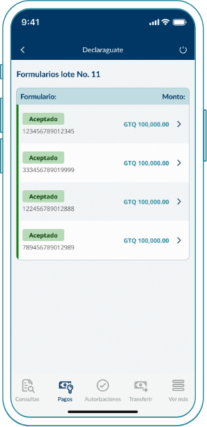 webp-consulta-pago-impuestos-lote-paso-3 Consulta de pago de impuestos por lote Paso #03