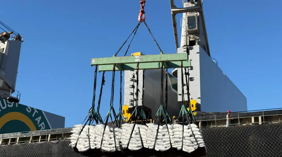 Arranca la zafra 2025-2026 con menos demoras en Puerto Quetzal y mayor ritmo de carga para exportación