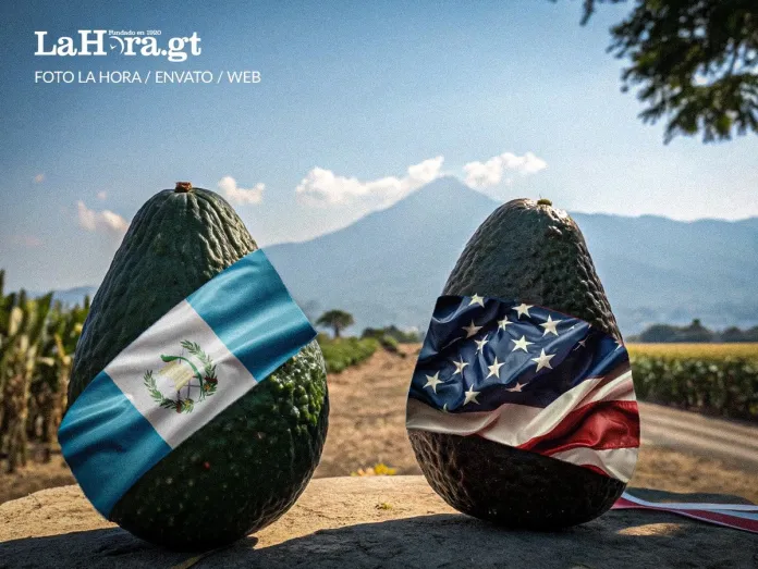 Noticia Nacional 2 - 22 Enero 2026 Avanza proceso de admisibilidad del aguacate Hass de Guatemala en Estados Unidos