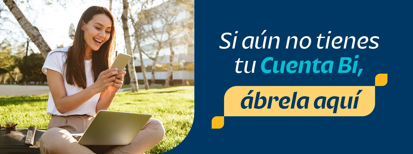 ¿Qué es Bi en Línea?