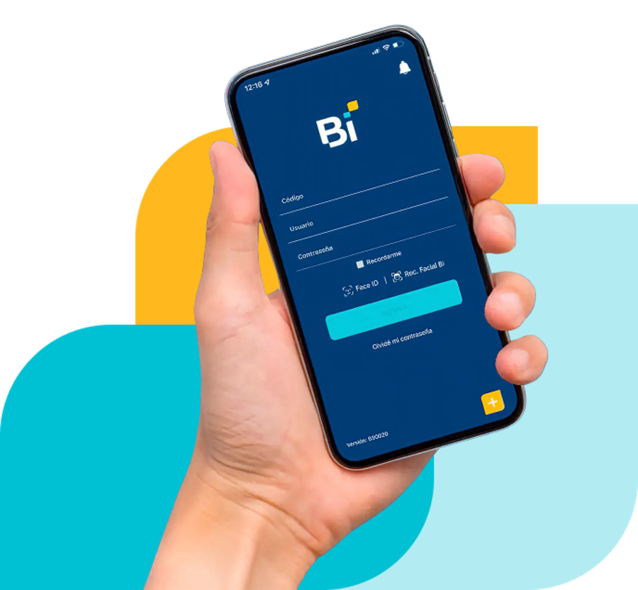 pago-facil-bi-en-linea