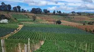 Daily-news-24-02-2026-nacionales-01