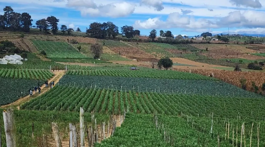 Daily-news-24-02-2026-nacionales-01 Daily-news-24-02-2026-nacionales-01