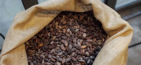 El cacao cae a su nivel más bajo en tres años por la debilidad de la demanda